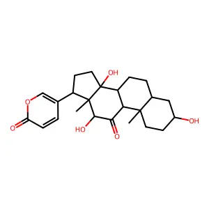 Pseudobufarenogin structure
