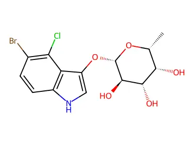 X-b-D-Fucoside structure