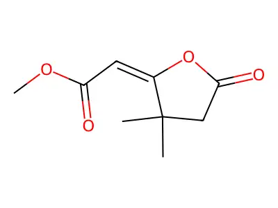 Methyl 2-(3,3-dimethyl-5-oxooxolan-2-ylidene)acetate structure