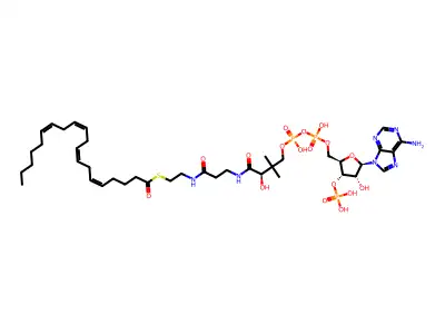 Arachidonoyl CoA structure
