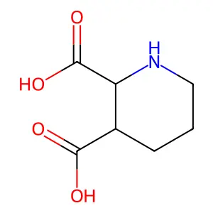 2,3-哌啶二甲酸 structure