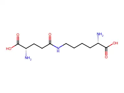 gamma-Glu-epsilon-Lys structure