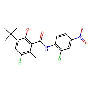 3-tert-Butyl-5-chloro-N-(2-chloro-4-nitrophenyl)-2-hydroxy-6-methylbenzamide structure