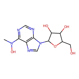 n-hydroxy-n-methyladenosine structure