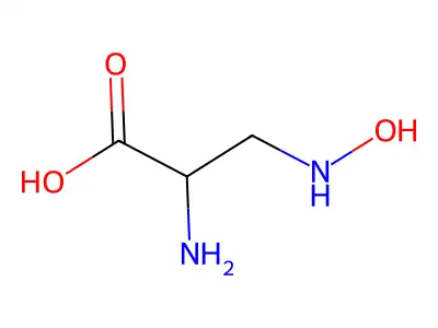 beta-N-oxylamino-l-alanine structure