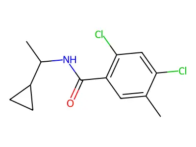 2,4-dichloro-N-(1-cyclopropylethyl)-5-methylbenzamide structure