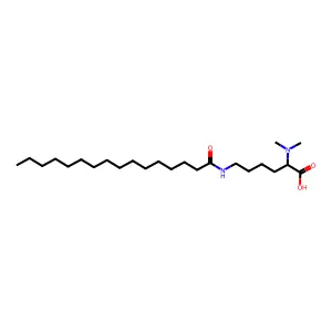 N2,N2-二甲基-N6-棕榈酰-DL-赖氨酸 structure