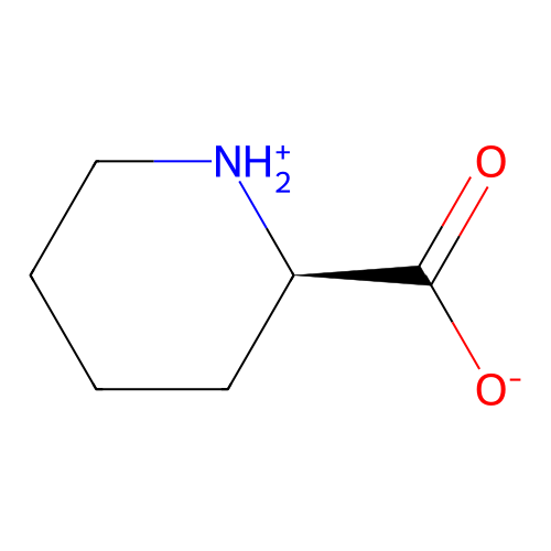(2R)-piperidin-1-ium-2-carboxylate structure