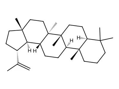 LUP-20(29)-ENE structure