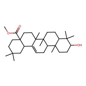 Methyl Oleanolate structure