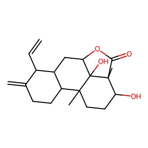 Sonomolide A structure