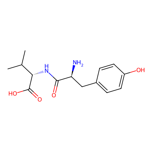 Tyr-Val structure