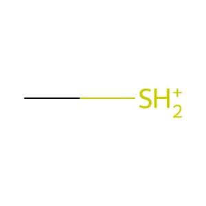 Methylsulfide anion structure