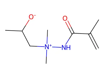 1-[Dimethyl-(2-methylprop-2-enoylamino)azaniumyl]propan-2-olate structure