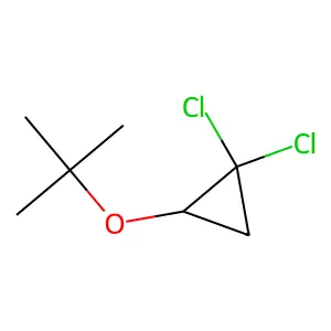 Cyclopropane, 1,1-dichloro-2-(1,1-dimethylethoxy)- structure