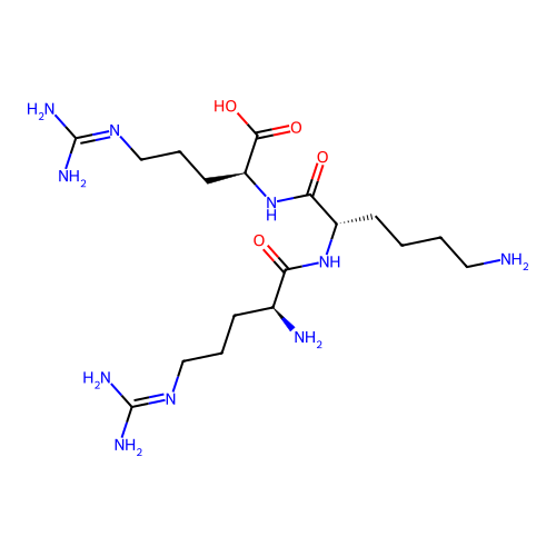 Arg-Lys-Arg structure