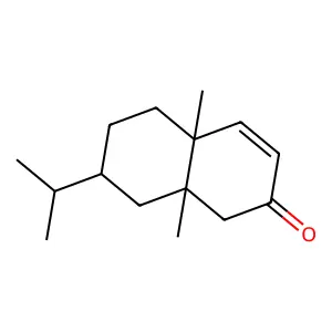 RefChem:241207 structure