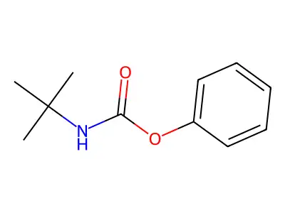 Phenyl tert-butylcarbamate structure