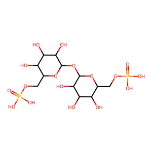 alpha,alpha-Trehalose 6,6'-diphosphate structure