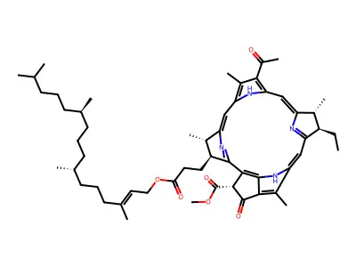 Bacteriopheophytin a structure