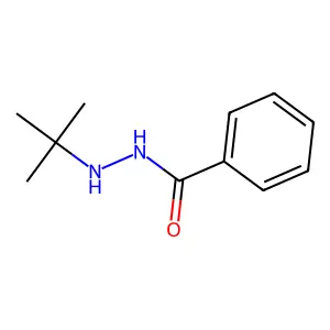 N'-tert-butylbenzohydrazide structure