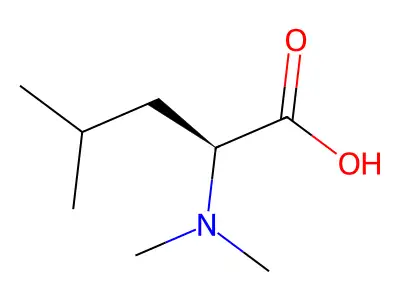 N-Dimethylleucin structure