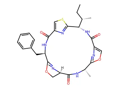 Raocyclamide A structure