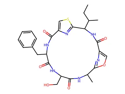 Raocyclamide B structure