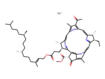 Bacteriochlorophyll structure