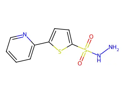 5-(Pyridin-2-yl)thiophene-2-sulfonohydrazide structure