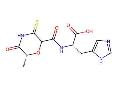 Cnk 6001 structure