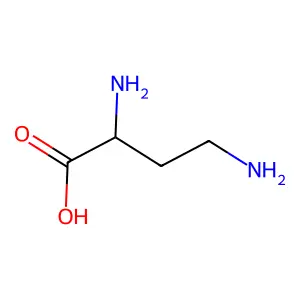 2,4-二氨基丁酸 structure