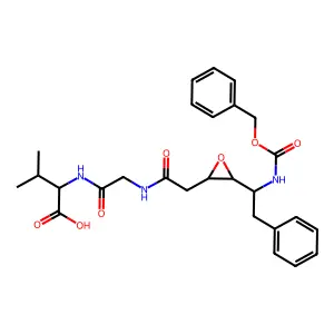Sanduvor PR-31 structure