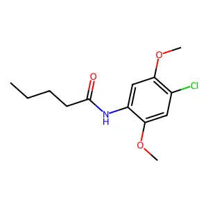 N-(4-chloro-2,5-dimethoxyphenyl)pentanamide structure