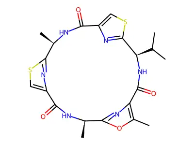 Dendroamide A structure
