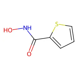 N-hydroxythiophene-2-carboxamide structure