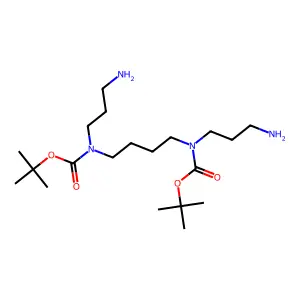 Spermine(hbbh) structure