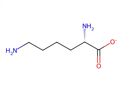 L-lysinate structure