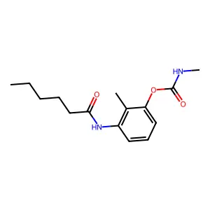 Hexananilide, 3'-hydroxy-2-methyl-, methylcarbamate (ester) structure