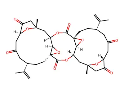 Singardin structure