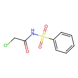 N-(benzenesulfonyl)-2-chloroacetamide structure