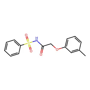 N-(benzenesulfonyl)-2-(3-methylphenoxy)acetamide structure