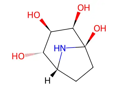 8-Azabicyclo[3.2.1]octane-1,2,3,4-tetrol structure