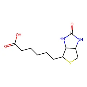 6-(2-Oxo-Hexahydro-Thieno(3,4-D)Imidazol-4-Yl)-Hexanoic Acid structure