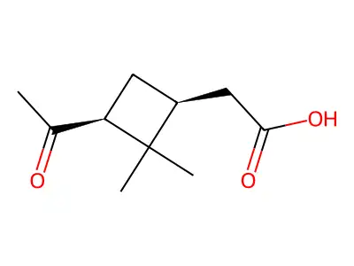 vasopressin, 9-Ala-NH(2)-Lys- structure