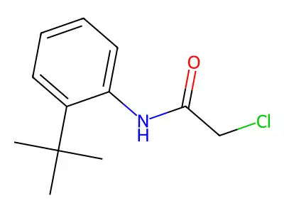 N-(2-tert-butylphenyl)-2-chloroacetamide structure