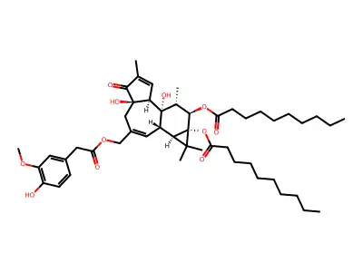 PDDHV structure