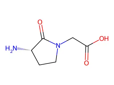 Macrocarpal J structure