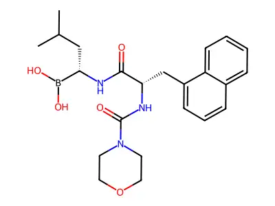 Boronic acid, L-(S)- structure