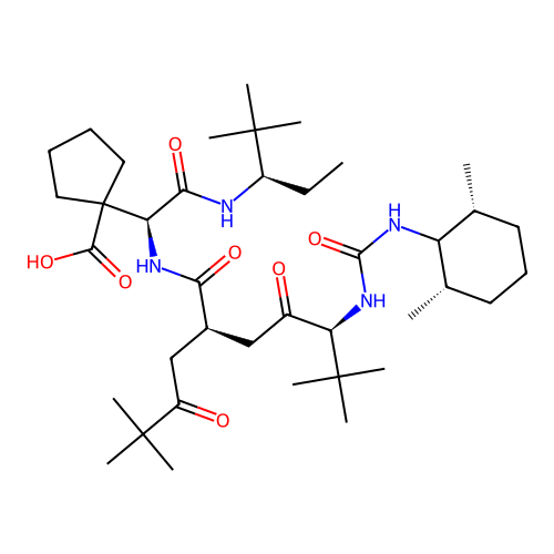 BILD 1351 structure